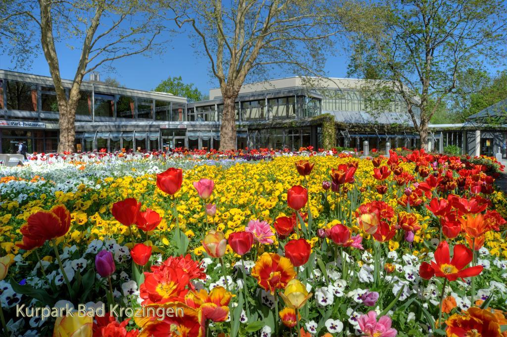 Hotel Ascona Bad Krozingen Exteriér fotografie